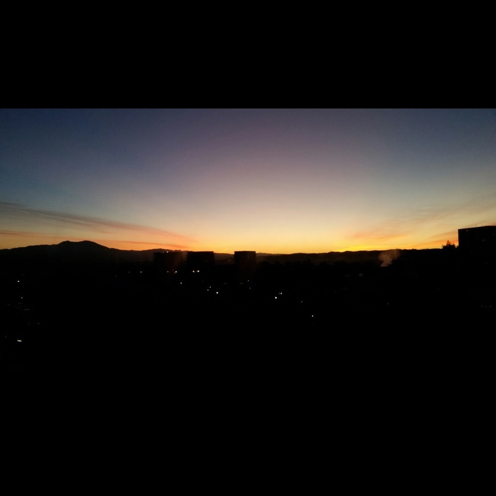 Meet your Posher, Shirley